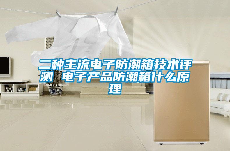 二種主流電子防潮箱技術(shù)評測 電子產(chǎn)品防潮箱什么原理