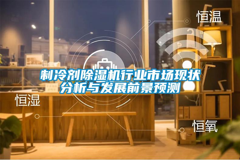 制冷劑除濕機(jī)行業(yè)市場(chǎng)現(xiàn)狀分析與發(fā)展前景預(yù)測(cè)