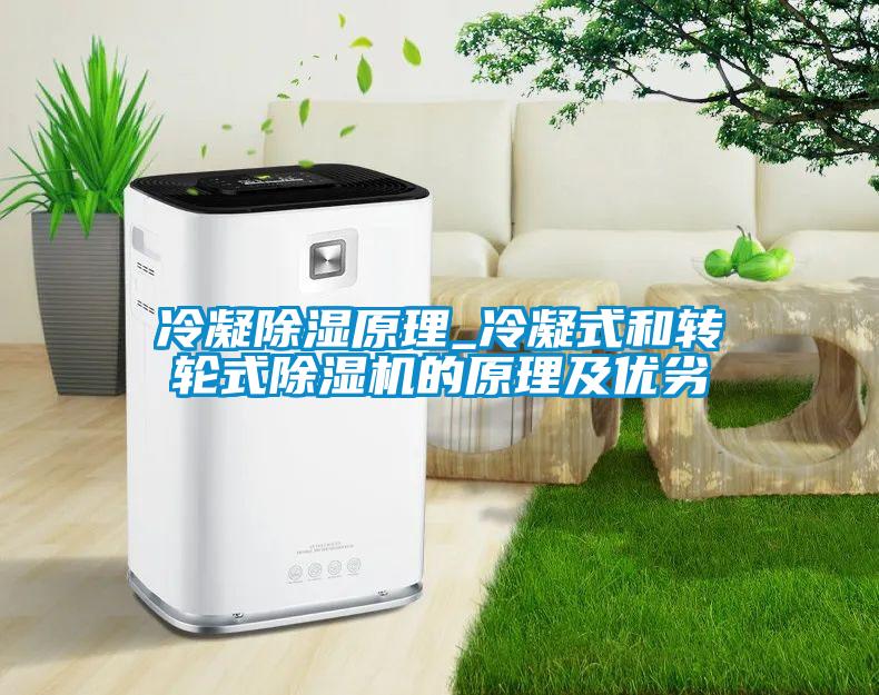 冷凝除濕原理_冷凝式和轉(zhuǎn)輪式除濕機(jī)的原理及優(yōu)劣