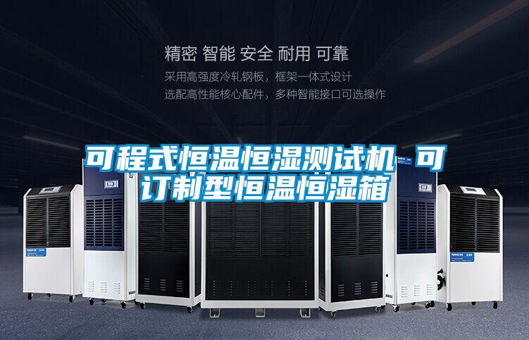 可程式恒溫恒濕測試機(jī) 可訂制型恒溫恒濕箱