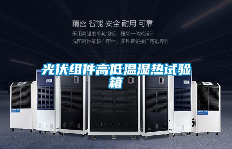 光伏組件高低溫濕熱試驗(yàn)箱