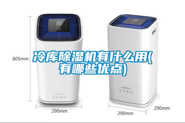 冷庫除濕機(jī)有什么用(有哪些優(yōu)點(diǎn))