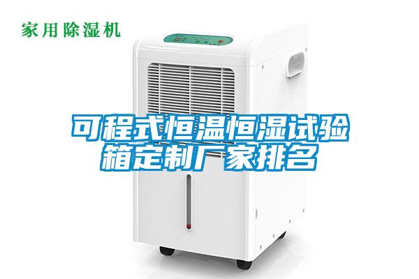 可程式恒溫恒濕試驗(yàn)箱定制廠家排名