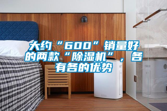 大約“600”銷量好的兩款“除濕機”，各有各的優(yōu)勢