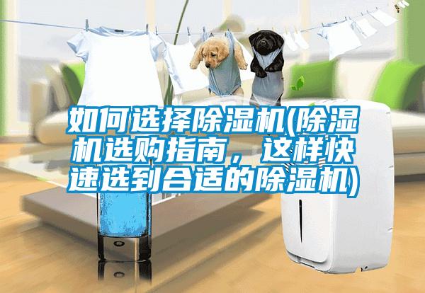 如何選擇除濕機(除濕機選購指南，這樣快速選到合適的除濕機)