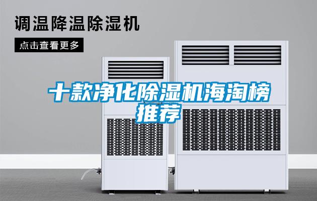 十款凈化除濕機(jī)海淘榜推薦