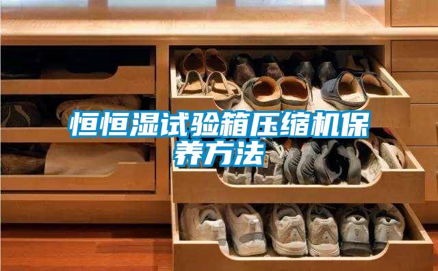 恒恒濕試驗(yàn)箱壓縮機(jī)保養(yǎng)方法