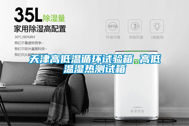 天津高低溫循環(huán)試驗(yàn)箱 高低溫濕熱測(cè)試箱