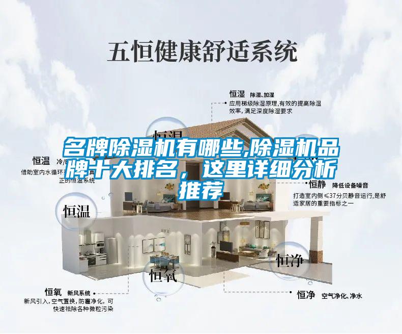 名牌除濕機(jī)有哪些,除濕機(jī)品牌十大排名，這里詳細(xì)分析推薦