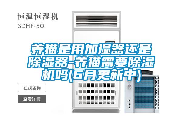 養(yǎng)貓是用加濕器還是除濕器-養(yǎng)貓需要除濕機(jī)嗎(6月更新中)