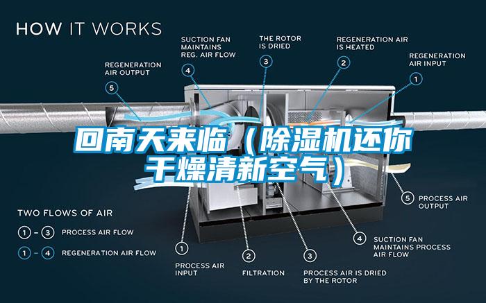 回南天來臨（除濕機(jī)還你干燥清新空氣）