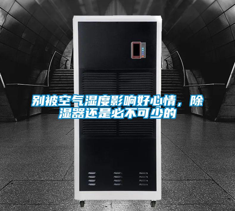 別被空氣濕度影響好心情，除濕器還是必不可少的