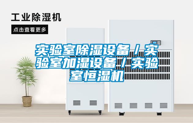 實驗室除濕設(shè)備／實驗室加濕設(shè)備／實驗室恒濕機