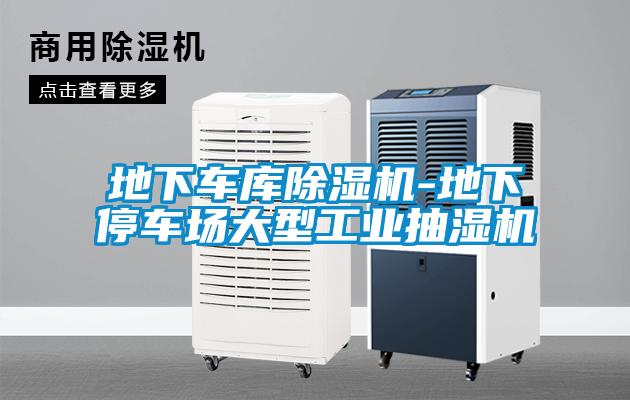 地下車庫(kù)除濕機(jī)-地下停車場(chǎng)大型工業(yè)抽濕機(jī)