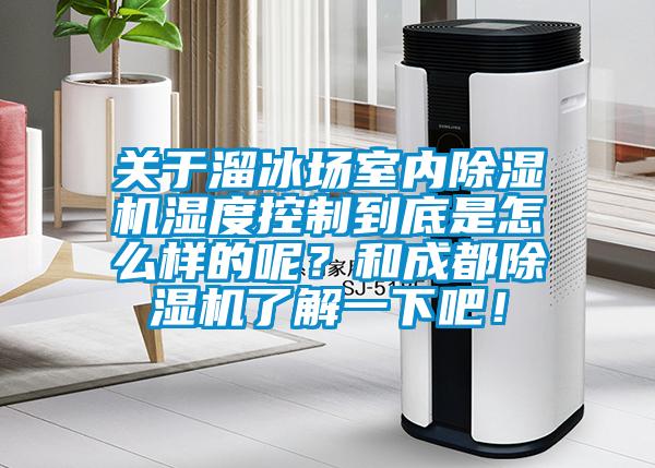 關(guān)于溜冰場(chǎng)室內(nèi)除濕機(jī)濕度控制到底是怎么樣的呢？和成都除濕機(jī)了解一下吧！