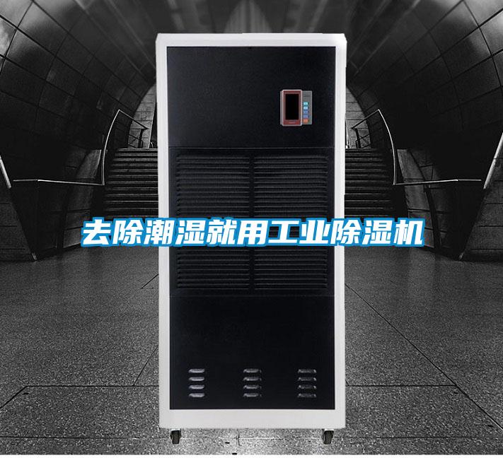 去除潮濕就用工業(yè)除濕機(jī)
