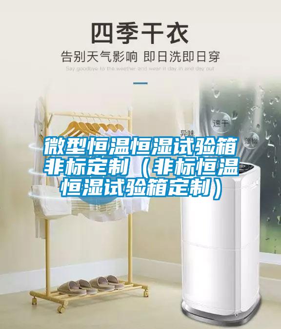 微型恒溫恒濕試驗箱非標(biāo)定制（非標(biāo)恒溫恒濕試驗箱定制）