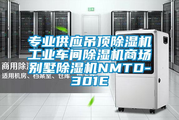 專業(yè)供應(yīng)吊頂除濕機工業(yè)車間除濕機商場別墅除濕機NMTD-301E