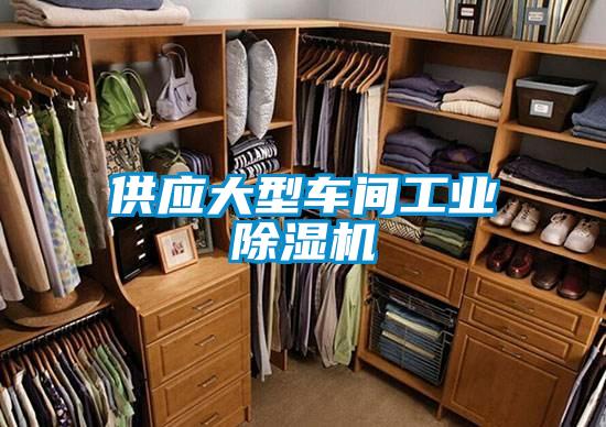 供應(yīng)大型車(chē)間工業(yè)除濕機(jī)