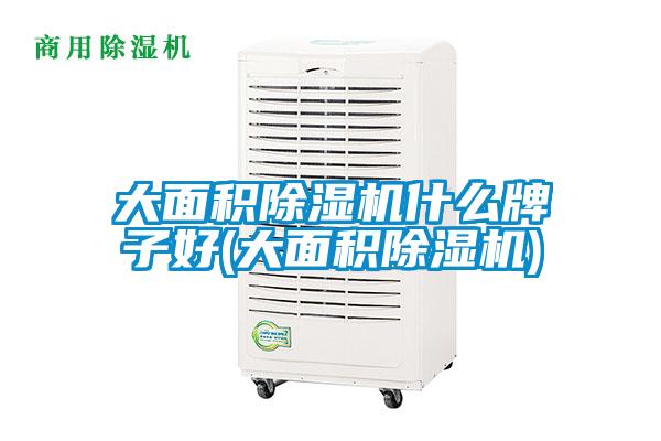 大面積除濕機(jī)什么牌子好(大面積除濕機(jī))