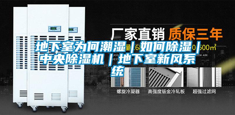 地下室為何潮濕｜如何除濕｜中央除濕機｜地下室新風(fēng)系統(tǒng)