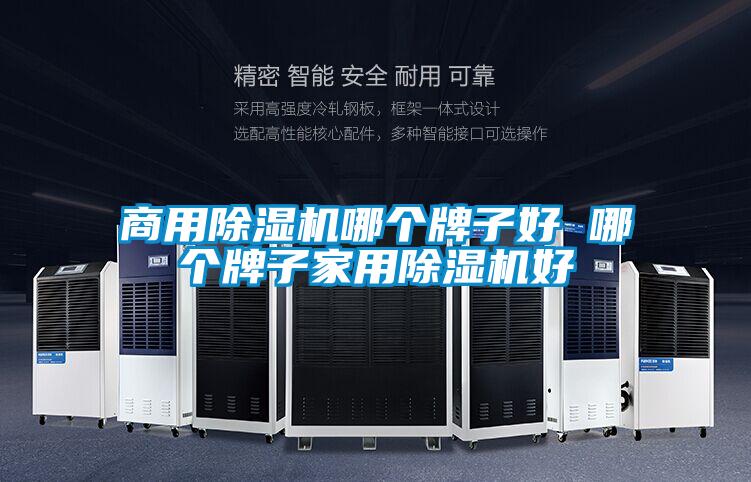 商用除濕機(jī)哪個(gè)牌子好 哪個(gè)牌子家用除濕機(jī)好
