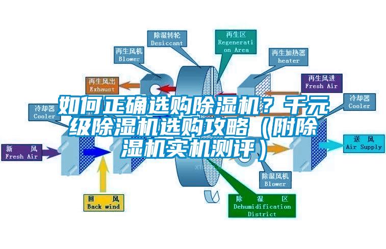 如何正確選購除濕機？千元級除濕機選購攻略（附除濕機實機測評）