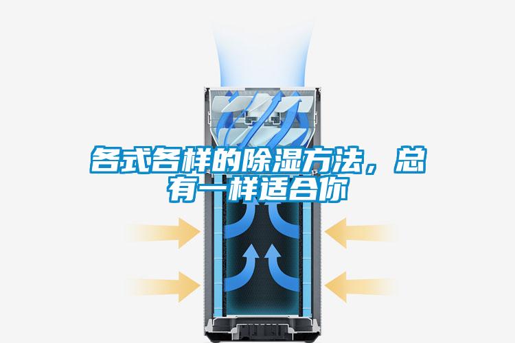 各式各樣的除濕方法，總有一樣適合你