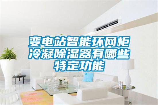 變電站智能環(huán)網(wǎng)柜冷凝除濕器有哪些特定功能