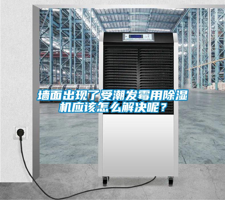 墻面出現(xiàn)了受潮發(fā)霉用除濕機(jī)應(yīng)該怎么解決呢？