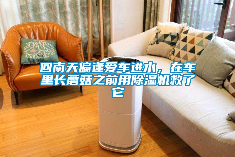 回南天偏逢愛車進水，在車里長蘑菇之前用除濕機救了它