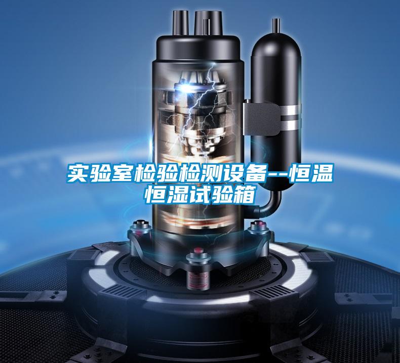 實(shí)驗(yàn)室檢驗(yàn)檢測(cè)設(shè)備--恒溫恒濕試驗(yàn)箱