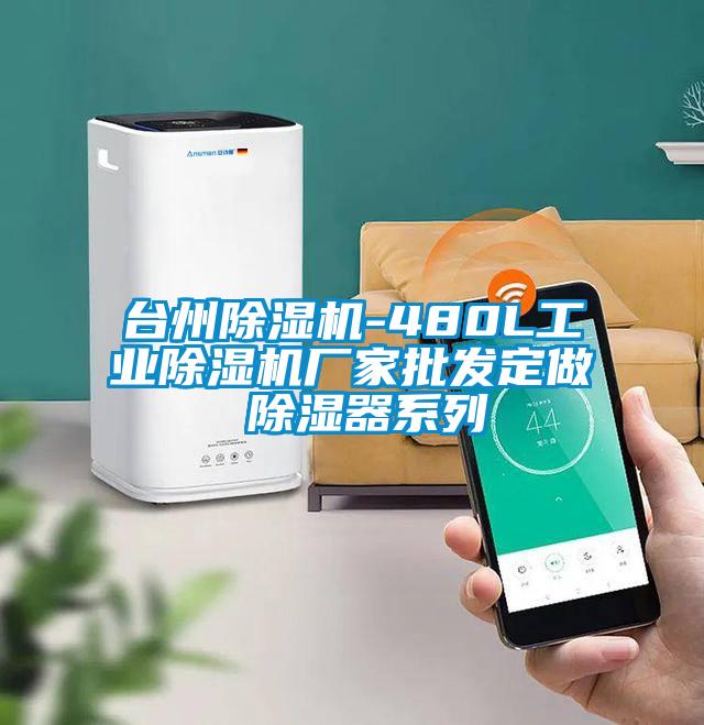 臺州除濕機-480L工業(yè)除濕機廠家批發(fā)定做 除濕器系列