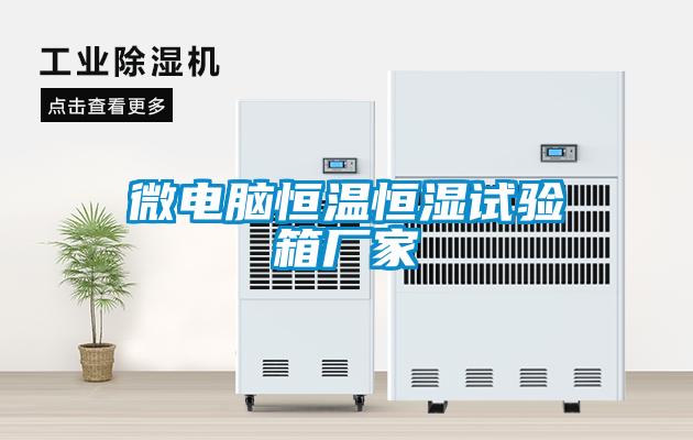 微電腦恒溫恒濕試驗箱廠家