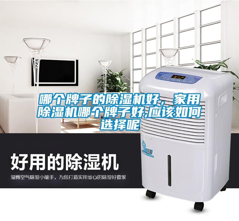 哪個牌子的除濕機好，家用除濕機哪個牌子好,應該如何選擇呢