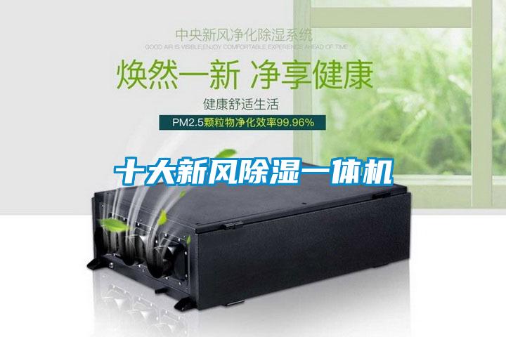 十大新風除濕一體機