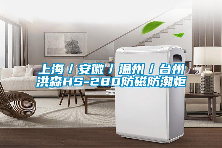 上海／安徽／溫州／臺州洪森HS-280防磁防潮柜