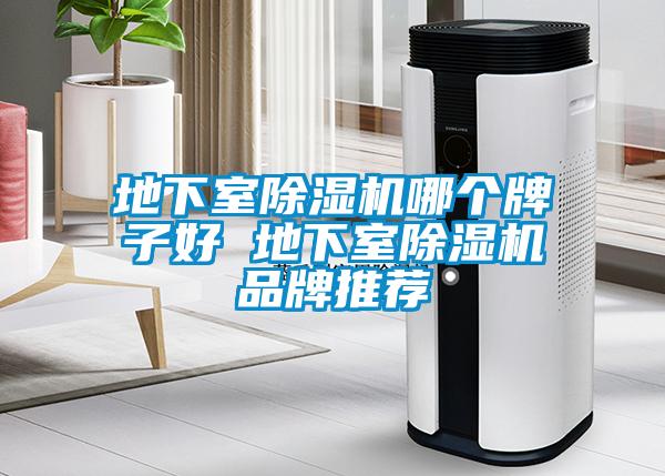 地下室除濕機(jī)哪個(gè)牌子好 地下室除濕機(jī)品牌推薦