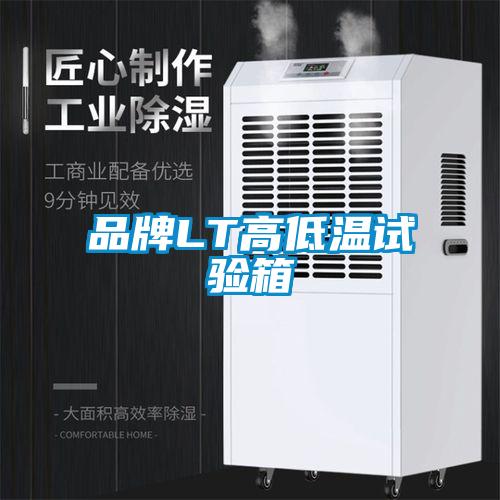 品牌LT高低溫試驗(yàn)箱