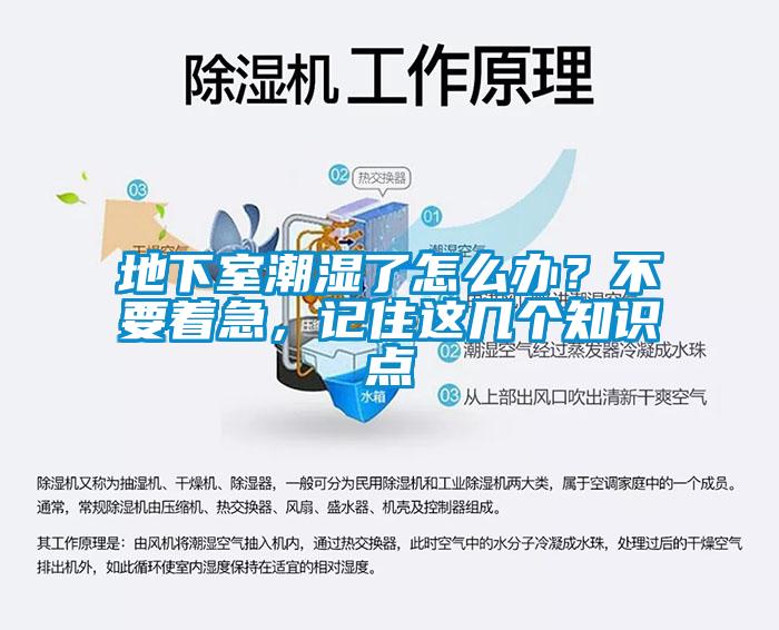 地下室潮濕了怎么辦？不要著急，記住這幾個(gè)知識點(diǎn)