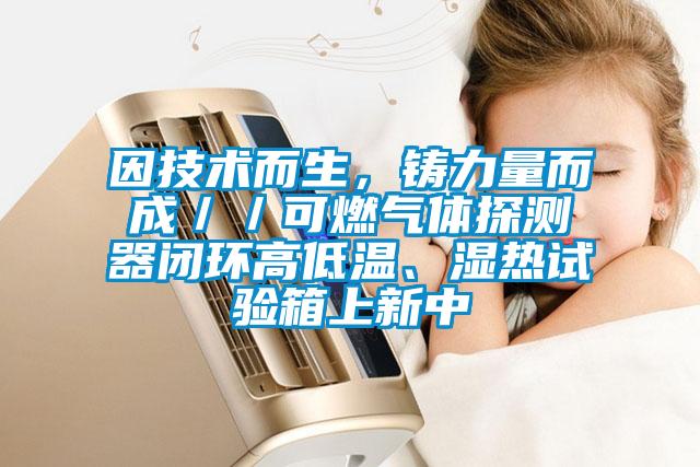因技術(shù)而生，鑄力量而成／／可燃?xì)怏w探測器閉環(huán)高低溫、濕熱試驗箱上新中
