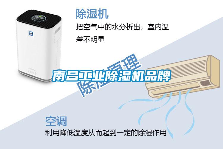 南昌工業(yè)除濕機(jī)品牌