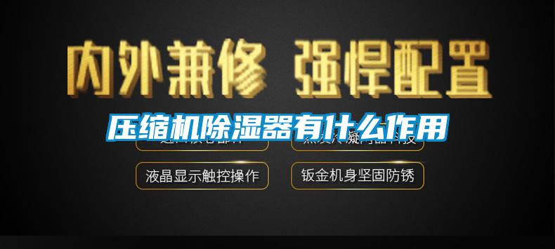 壓縮機(jī)除濕器有什么作用
