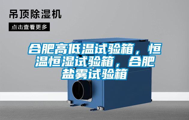 合肥高低溫試驗(yàn)箱，恒溫恒濕試驗(yàn)箱，合肥鹽霧試驗(yàn)箱