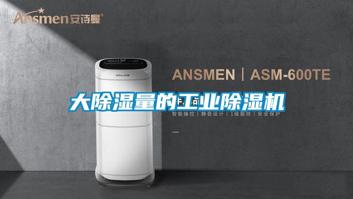 大除濕量的工業(yè)除濕機