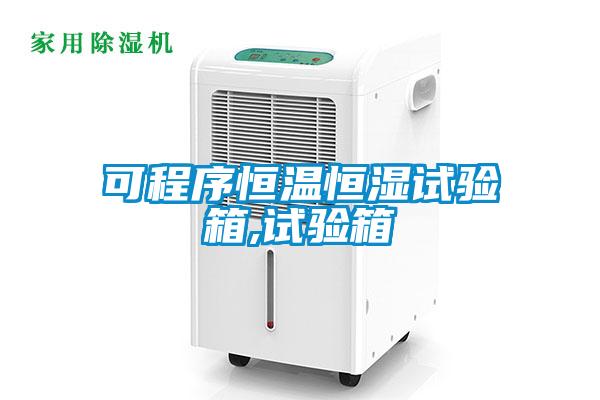 可程序恒溫恒濕試驗箱,試驗箱