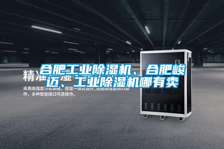 合肥工業(yè)除濕機(jī)、合肥峻邁、工業(yè)除濕機(jī)哪有賣