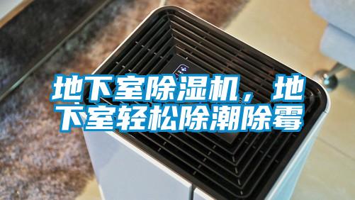 地下室除濕機，地下室輕松除潮除霉