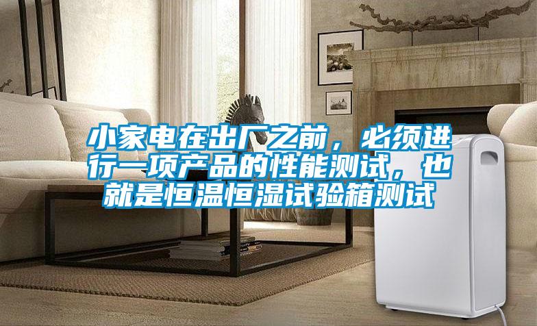 小家電在出廠之前，必須進行一項產品的性能測試，也就是恒溫恒濕試驗箱測試