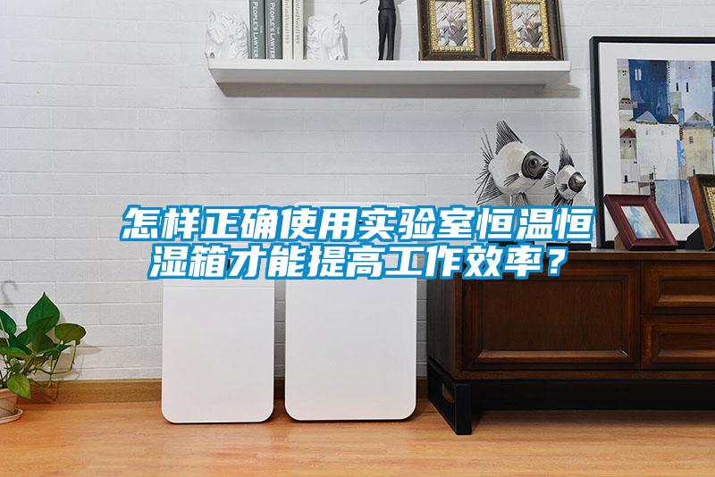 怎樣正確使用實驗室恒溫恒濕箱才能提高工作效率？